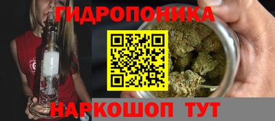 мдпв Партизанск