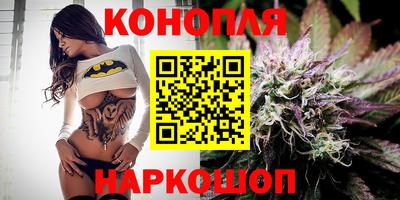 мдпв Партизанск