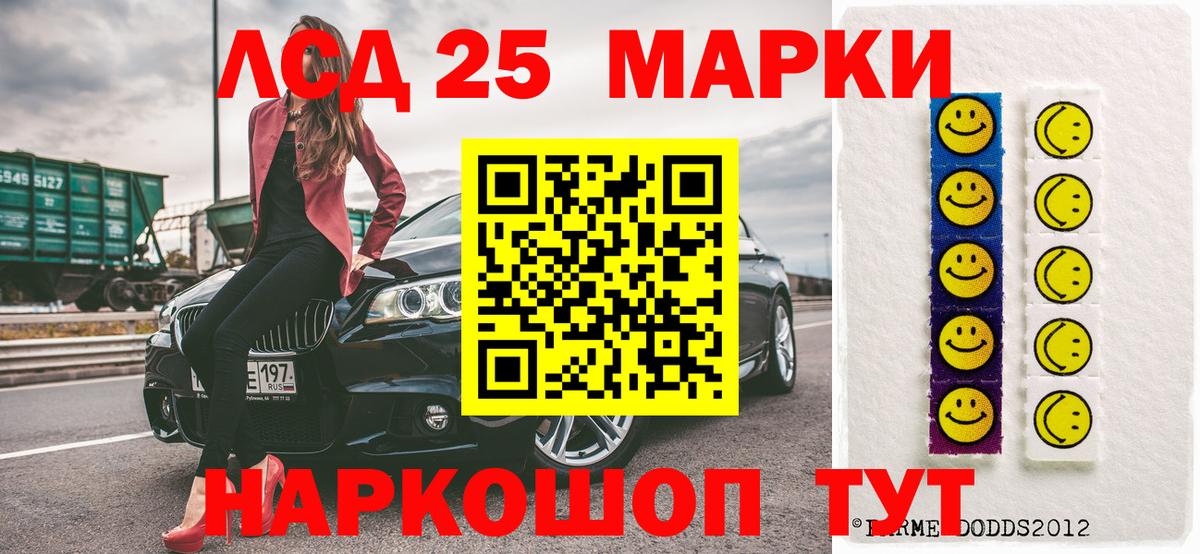 МЕФ Тосно