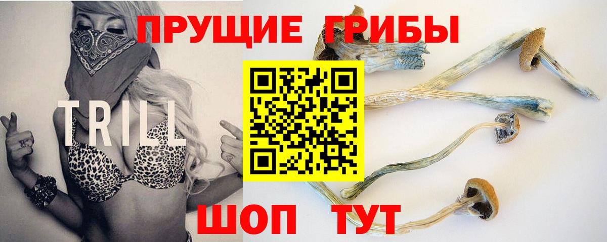 Галлюциногенные грибы Magic Shrooms  Вход с VPN  Тосно 